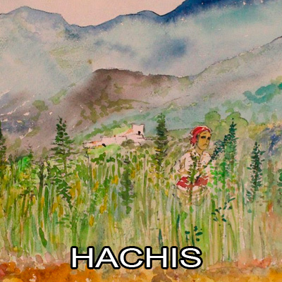 hachis flundio