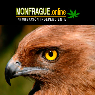 Monfragüe flundio