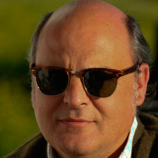 Javi Avis